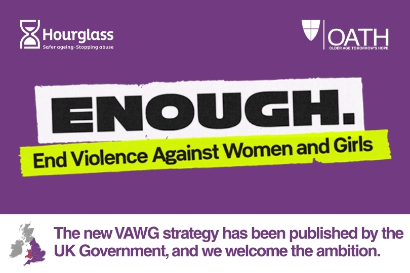 GOVERNMENT VAWG STRATEGY